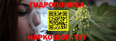 гидра Пыть-Ях