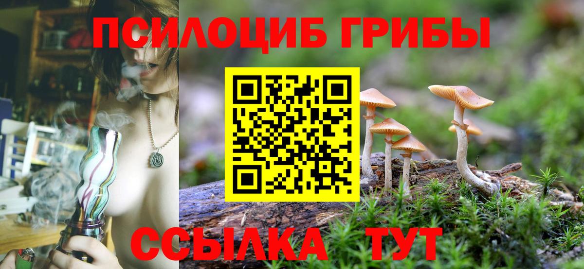 Псилоцибиновые грибы прущие грибы Родники