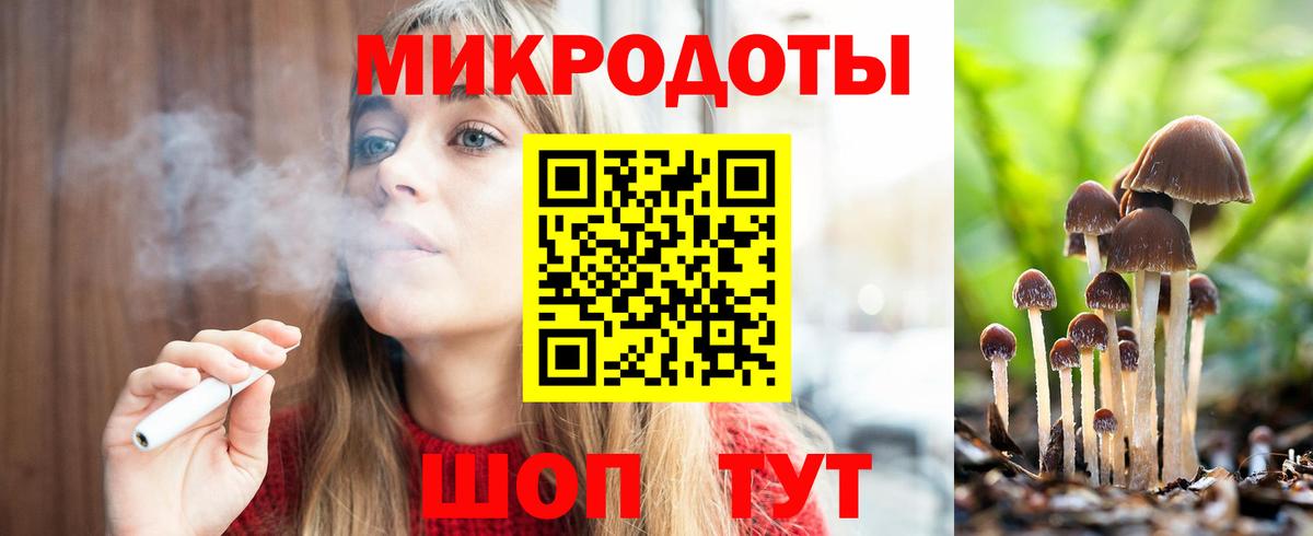 Псилоцибиновые грибы Psilocybe  Вход с VPN  Родники  Галлюциногенные грибы Magic Shrooms 